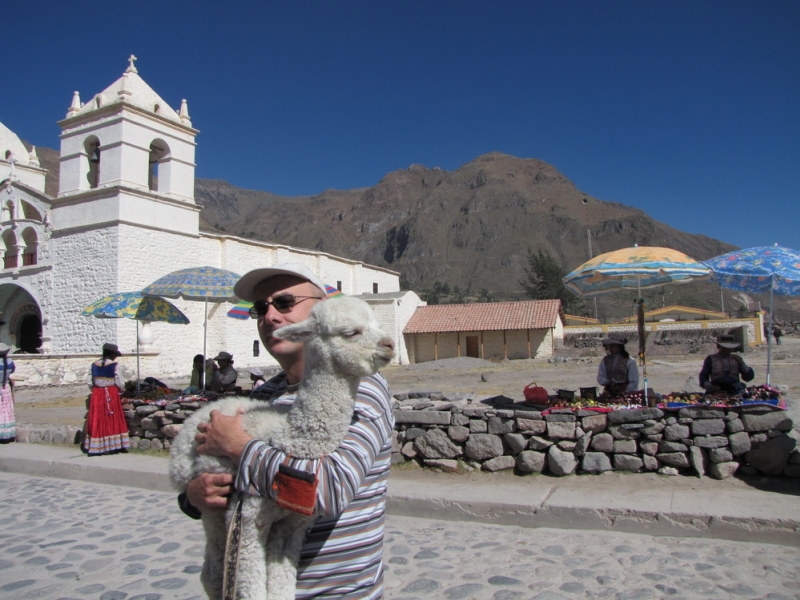 okolice Canionu Colca - z maleńką lamą w przydrożnym miasteczku 